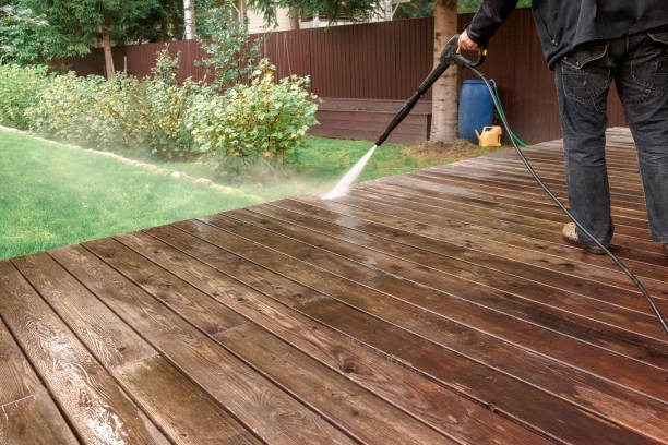 Best Roof Cleaning and Mildew Removal in Estherville, IA
