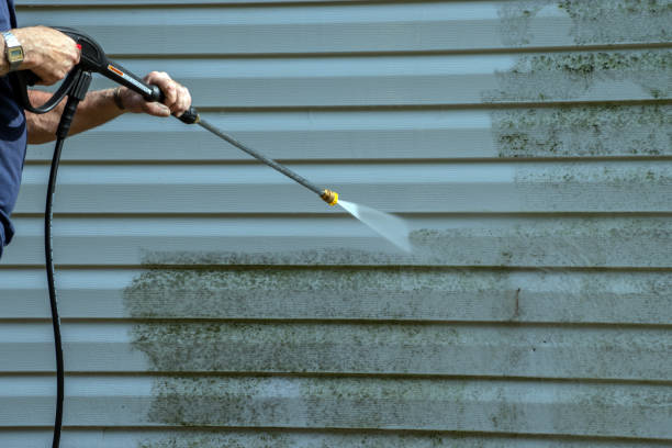Best Soft Washing for Delicate Surfaces in Estherville, IA